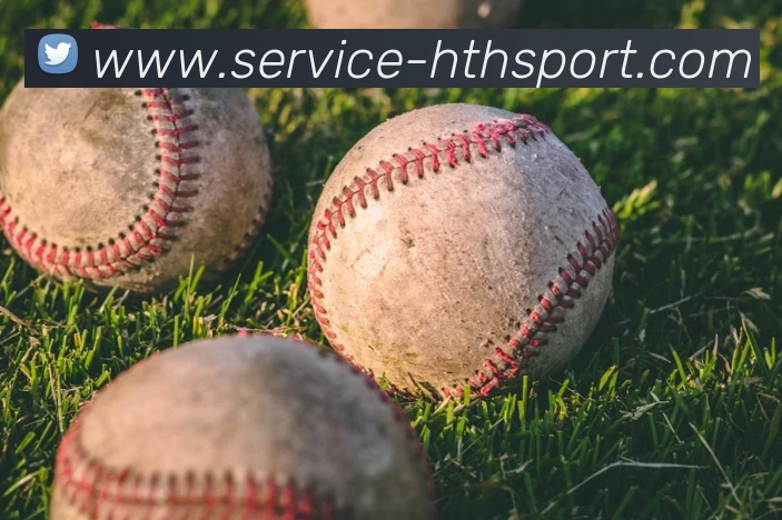 华体会平台生态图